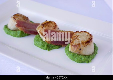 Pfanne gebratene Jakobsmuscheln mit knusprigem Speck und Erbsenpüree Stockfoto