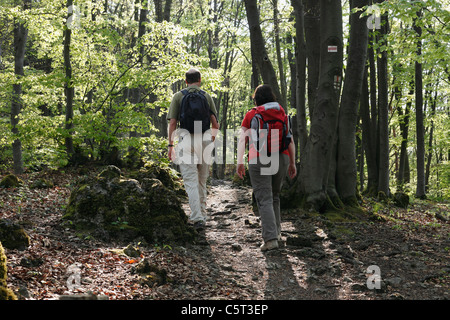 Deutschland, Bayern, Franken, Oberfranken, Fränkische Schweiz, Ansicht von Mann und Frau Wandern in Buchenwald Stockfoto