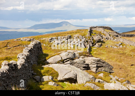 Bowland Knotts in den Trog von Bowland, Lancashire, UK, mit Blick auf den Yorkshire Dales. Stockfoto