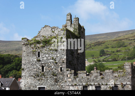 Republik von Irland, County Louth, Halbinsel Cooley, Carlingford, Ansicht von Taafe Burg Stockfoto