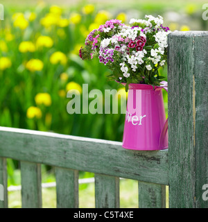 Blumen in den Blumentopf im Garten Stockfoto