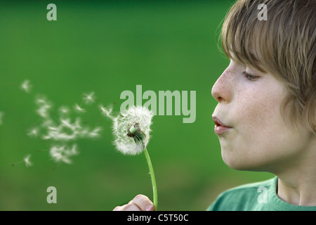 Deutschland, Close up Boy bläst Löwenzahnsamen Stockfoto