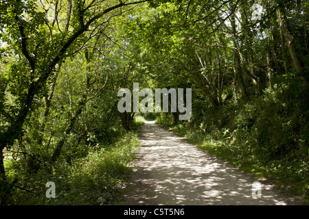 Camel Trail, Bodmin, Wadebridge Stockfoto