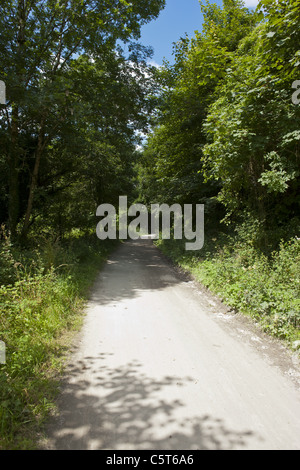 Camel Trail, Bodmin, Wadebridge Stockfoto