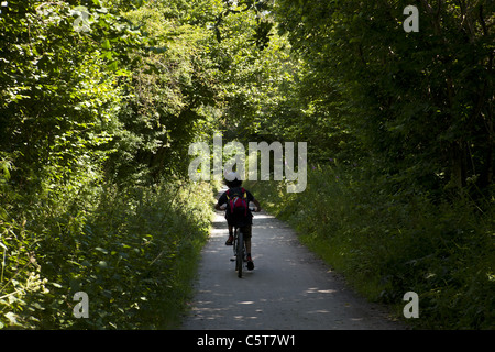 Camel Trail, Bodmin, Wadebridge Stockfoto