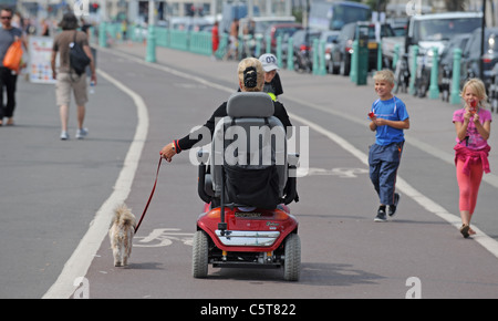 Eine Dame auf ihrem Roller Mobilität nimmt ihr Hund einen Spaziergang auf Brighton Seafront bei heißem Wetter heute Stockfoto