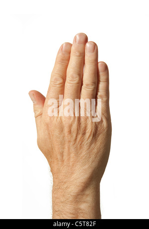 Die Hand eines Erwachsenen menschlichen männlichen Stockfoto