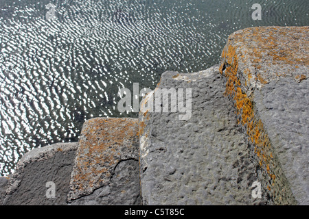 Schritte neben dem Meer, Ballyvaughan, County Clare, Irland Stockfoto