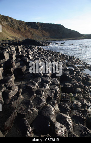 Causway in Nordirland des Riesen. Stockfoto