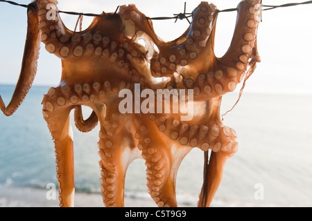 Krake aufgehängt in einem Restaurant in Skala Eresou, Lesbos, Griechenland. Stockfoto