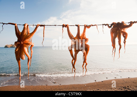 Krake aufgehängt in einem Restaurant in Skala Eresou, Lesbos, Griechenland. Stockfoto