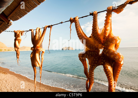 Krake aufgehängt in einem Restaurant in Skala Eresou, Lesbos, Griechenland. Stockfoto