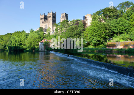 Kathedrale von Durham und der Fluss Wear im Sommer UK Stockfoto