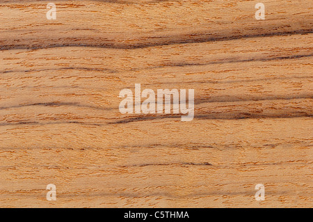 Oberfläche, Teak Holz (Tectona Grandis) volle Holzrahmen Stockfoto