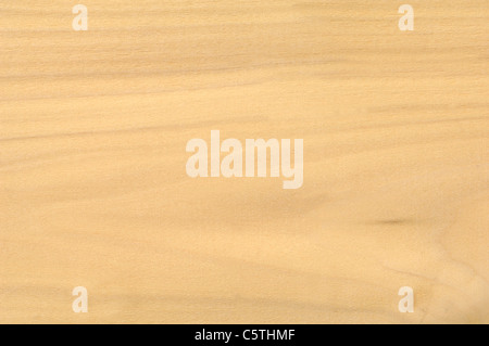 Holz Oberfläche, American Whitewood (Liriodendron Tulipifera)-full-frame Stockfoto