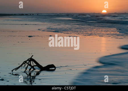 Neuseeland, Hokitika, Ufer bei Sonnenuntergang, Treibholz im Vordergrund Stockfoto