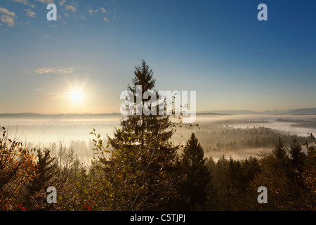 Deutschland, Bayern, Oberbayern, Ansicht der Pupplinger au in der Nähe von wolfratshausen Stockfoto