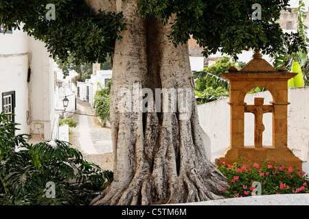 Spanien, Gran Canaria, Telde, Viertel San Francisco Kreuz neben Baum im Quartal Stockfoto