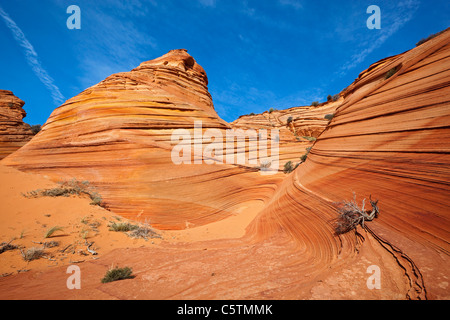 USA, Utah, South Coyote Buttes, Paria Canyon, Felsformationen Stockfoto
