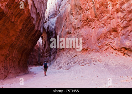 USA, Utah, Leprechaun Canyon, Wanderer in einem Slot Canyon, Rückansicht Stockfoto