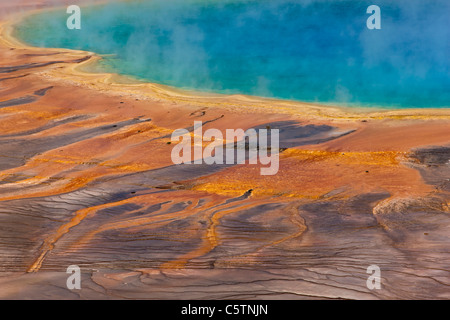 USA, Wyoming, Yellowstone-Nationalpark, Grand prismatische Frühling Stockfoto