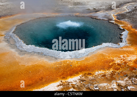 USA, Wyoming, Yellowstone Park, Crested Pool Stockfoto