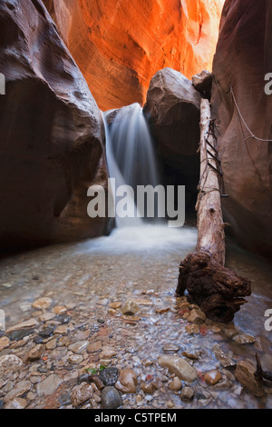 USA, Utah, Slot Canyon, Wasserfall, Kanarra Creek Stockfoto