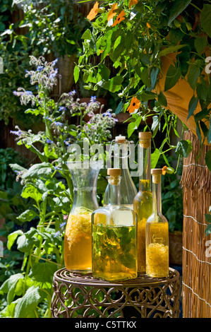 Österreich, Salzburger Land, verschiedene Flaschen mit Essig und Öl Plced Beistelltisch im Garten Stockfoto