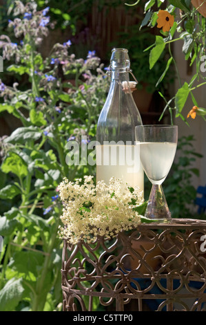 Österreich, Salzburger Land, Holunderblüten (Sambucus Nigra), Blüten, Flasche und Glas Stockfoto