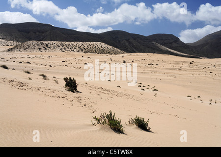 Spanien, Kanarische Inseln, Fuerteventura, El Jable, Jandia, Blick auf Sanddüne Stockfoto