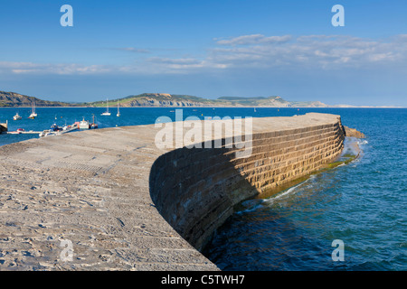 Der Cobb-Anlegestelle in Lyme Regis Jurassic Küste Dorset England UK GB EU Europa Stockfoto