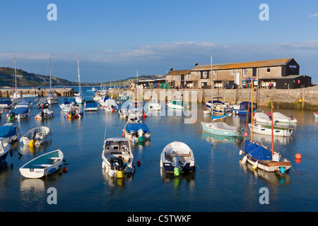 Viele Fischerboote in Lyme Regis Hafen Dorset England UK GB EU Europa Stockfoto