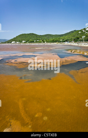 Salz Pfannen der Parc Natural de Ses Salines in der Nähe von Ibiza-Stadt und Flughafen. Salztoleranten Algen Matten Form im Wasser. Stockfoto