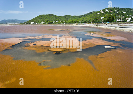 Salz Pfannen der Parc Natural de Ses Salines in der Nähe von Ibiza-Stadt und Flughafen. Salztoleranten Algen Matten Form im Wasser. Stockfoto