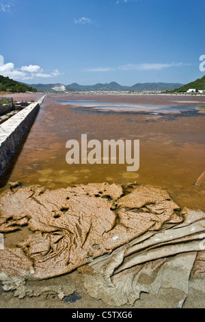 Salz Pfannen der Parc Natural de Ses Salines in der Nähe von Ibiza-Stadt und Flughafen. Salztoleranten Algen Matten Form im Wasser. Stockfoto