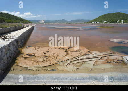 Salz Pfannen der Parc Natural de Ses Salines in der Nähe von Ibiza-Stadt und Flughafen. Salztoleranten Algen Matten Form im Wasser. Stockfoto