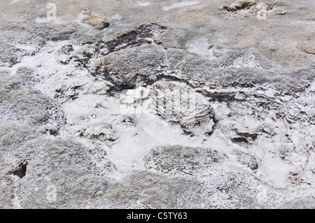 Ibiza, Balearen, Spanien - Salz Pfannen der Parc Natural de Ses Salines in der Nähe von Ibiza-Stadt und Flughafen. Salzkristalle trocknen. Stockfoto