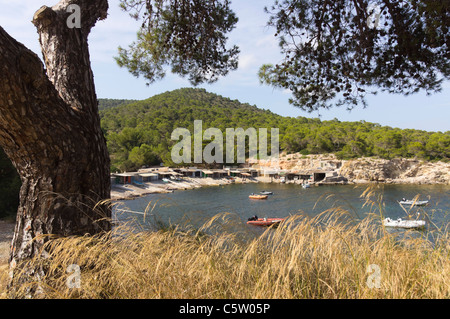 Ibiza, Balearen, Spanien - Sa Caleta Bucht und Strand Stockfoto