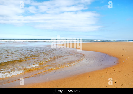 Golden Sand an den Dichtungen Strand in Newburgh, Newburgh, Aberdeenshire, Schottland, Großbritannien Stockfoto