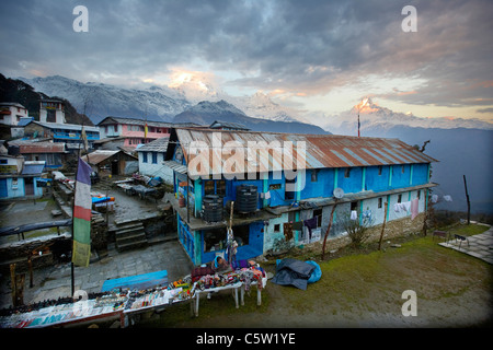 Tadapani Dorf auf das Annapurna base Camp trek, Himalaya, Nepal, Asien Stockfoto