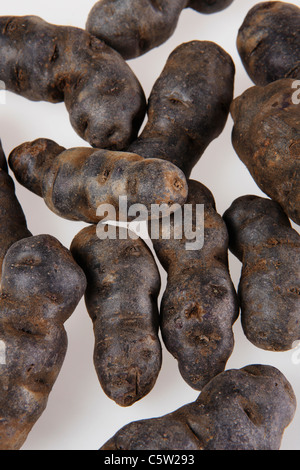 Trüffel de Chine blau-violetten Kartoffeln, erhöhten Blick Stockfoto