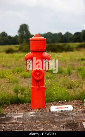 Roten Hydranten in Landschaft Stockfoto