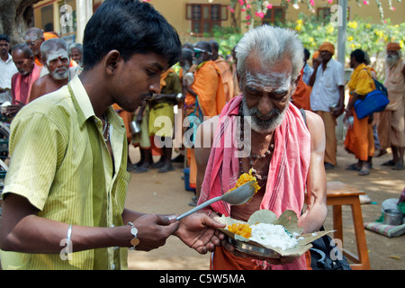 Sadu serviert Essen Sri Ramana Ashram Tiruvannamalai Tamil Nadu in Indien Stockfoto