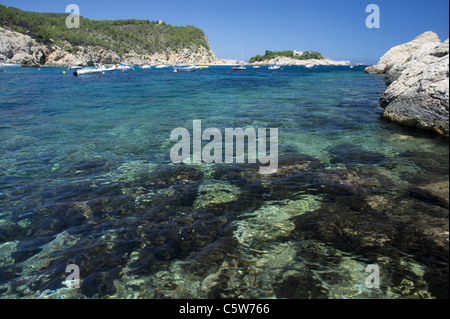 Ibiza, Balearen, Spanien - kleine Ferienort Port de Sant Miquel. Klares Wasser und Algen. Stockfoto