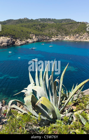 Ibiza, Balearen, Spanien - kleine Ferienort Port de Sant Miquel. Gesamtansicht von der Bucht aus kann Marca gesehen. Stockfoto