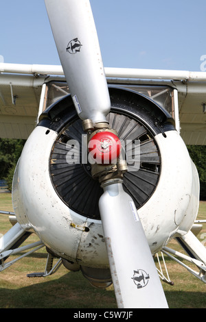 Wilga 80 Leichtflugzeug Stockfoto