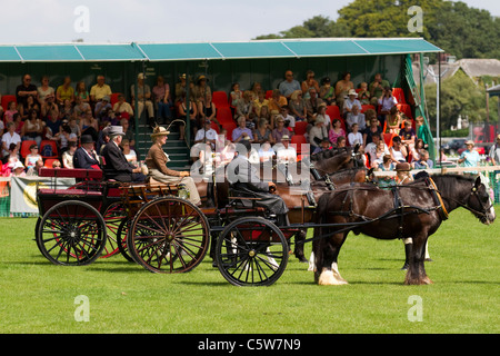 Kutschen, Schlitten fahren und Gigs am Cartmel Landwirtschaftliche Gesellschaft 128 jährlichen Ländlichen zeigen, 2011 im Lake District, Cumbria, England Stockfoto