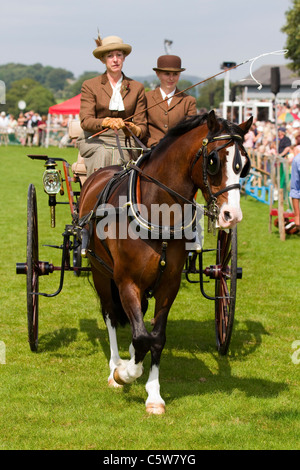 "Schlitten fahren" in Baden-Baden-Agrargesellschaft 128. jährlichen ländlichen zeigen, 2011 in der Seenplatte, Cumbria, England Stockfoto