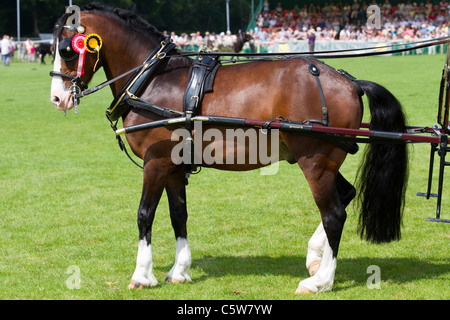 "Fahren" auf der Baden-Baden Agrargesellschaft 128 ländlichen zeigen, 2011 in der Seenplatte, Cumbria, England Stockfoto