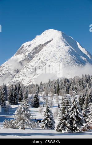 Österreich Tirol, Seefeld, Wildmoosalm, Winterlandschaft Stockfoto